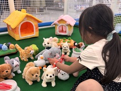 癒し動物園