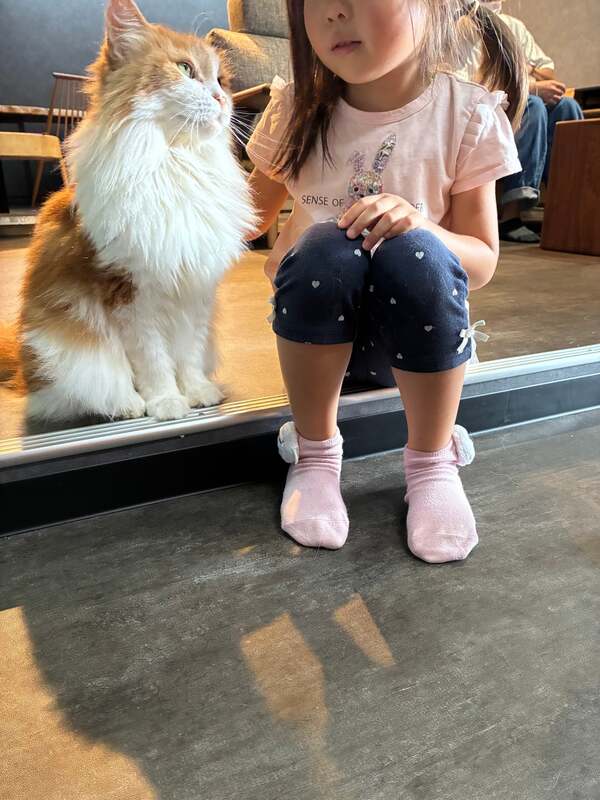 小さなお子様にも優しく寄り添ってくれます