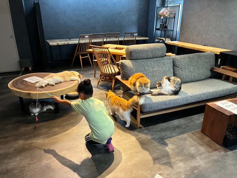 落ち着いた雰囲気の店内で上質な空間にこだわっています