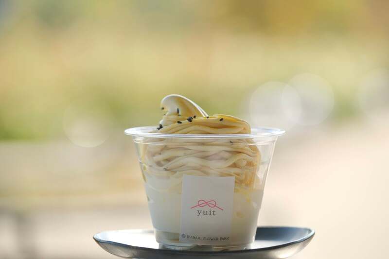 芋ソフトクリーム