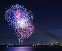 第13回 新舞子ビーチフェスティバル花火大会│（Ｃ）新舞子ビーチフェスティバル実行委員会