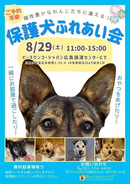 保護犬ふれあい会