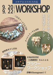 「赤く染まる絶景！コキアとコスモスが咲き誇る秋イベントが8月22日開幕【広島・世羅】」の写真