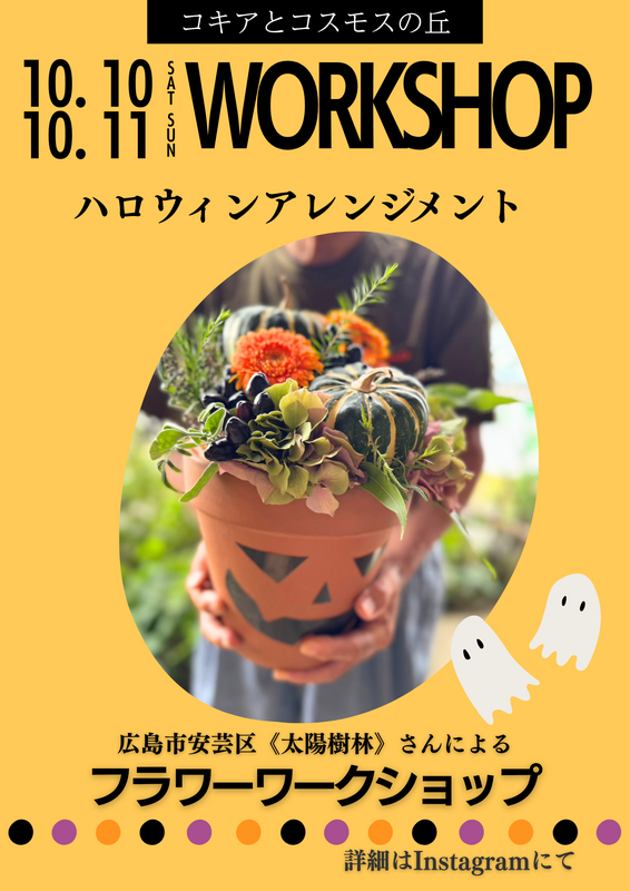 写真はイメージです