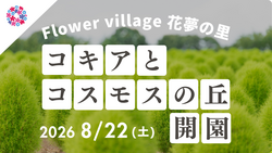 「赤く染まる絶景！コキアとコスモスが咲き誇る秋イベントが8月22日開幕【広島・世羅】」の写真
