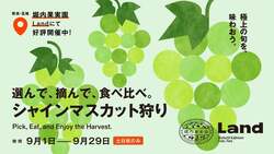 「シャインマスカット狩りが9月限定開催！奈良の堀内果実園で食べ比べ＆大福作りも」の写真