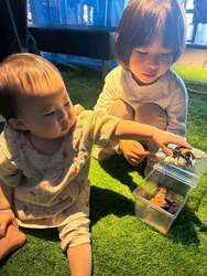「世界最大のカブトムシに触れる感動！「凄いぞカブクワ展」が大阪・天満橋で開催」の写真