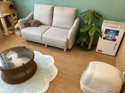 「保護犬猫と自由にふれあえるカフェが横浜・伊勢佐木町にオープン！里親募集も」の写真