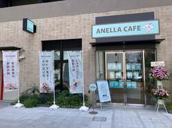「保護犬猫と自由にふれあえるカフェが横浜・伊勢佐木町にオープン！里親募集も」の写真