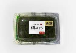 沖縄「海ぶどう」
