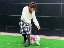 ワンちゃんと音楽に合わせて楽しく♪ドッグダンス体験