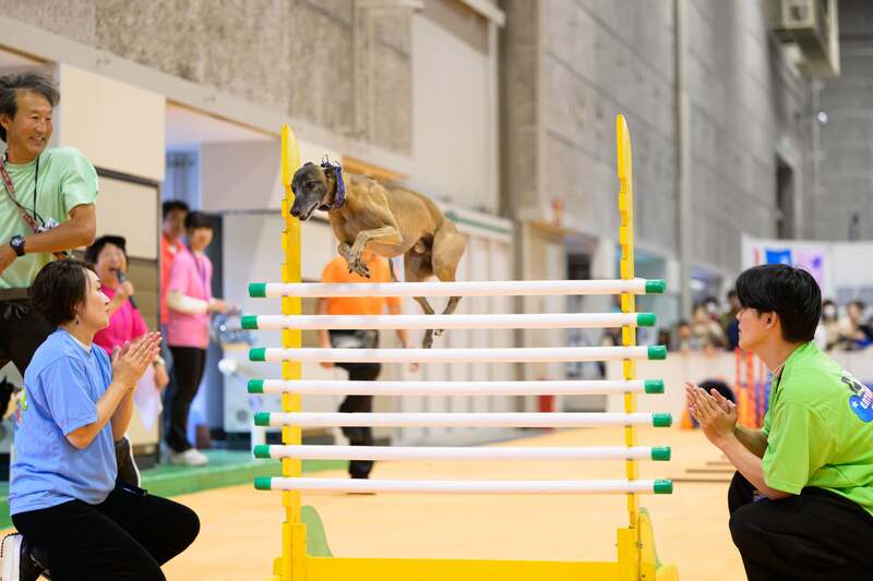 ワンちゃんの潜在能力の高さにビックリ！ハイジャンプショー