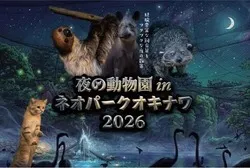 飼育スタッフならではのガイドを楽しみましょう！