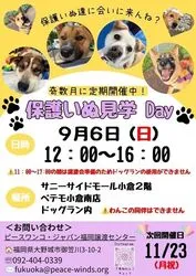 保護いぬ見学Dayinペテモ小倉南店