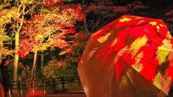 「日本一早い紅葉×夜のライトアップ！層雲峡温泉「奇跡のイルミネート9」で秋の旅へ」の写真