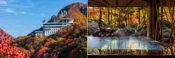 「日本一早い紅葉×夜のライトアップ！層雲峡温泉「奇跡のイルミネート9」で秋の旅へ」の写真