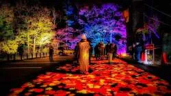 「日本一早い紅葉×夜のライトアップ！層雲峡温泉「奇跡のイルミネート9」で秋の旅へ」の写真