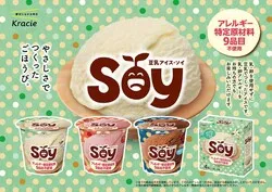 「乳・卵不使用なのにプリンの味！アレルギーっ子にうれしいアイス「Soy」に新味登場」の写真