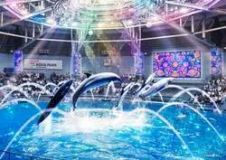 「水族館が紅葉に包まれる！イルカショー席確約プランで子連れも快適　アクアパーク品川」の写真