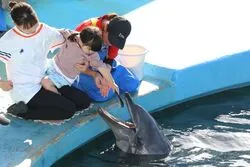 「【勝浦・串本・すさみ】人気おでかけスポットTOP10 海とクジラ体験が上位に」の写真