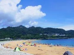 「【勝浦・串本・すさみ】人気おでかけスポットTOP10 海とクジラ体験が上位に」の写真