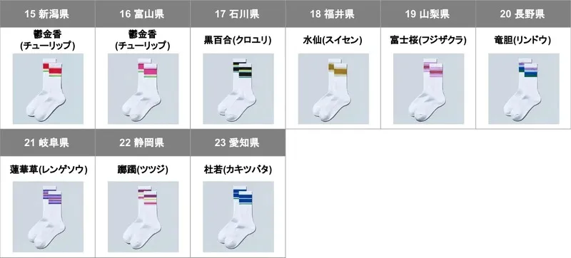 「47都道府県別ラインソックス」＜中部＞