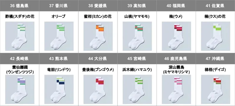 「47都道府県別ラインソックス」＜四国・九州・沖縄＞