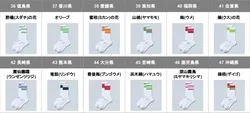 「47都道府県別ラインソックス」＜四国・九州・沖縄＞