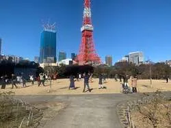 東京タワーを望むプリンス芝公園での絶景太極拳