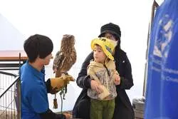 沢山の動物たちと触れ合えるミニ動物園