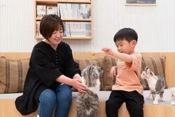 「【水戸・笠間】人気おでかけスポットTOP10 屋内プールや猫カフェが上位に」の写真