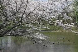 「【常総・結城・桜川ほか】人気おでかけスポットTOP10 自然体験と室内遊びが上位」の写真