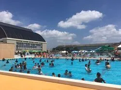 「【大洗・ひたちなか】人気おでかけスポットTOP10 水族館・海水浴場が上位に」の写真