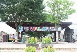 「【宇都宮・さくら・高根沢】人気おでかけスポットTOP10 遊園地と科学館が上位」の写真