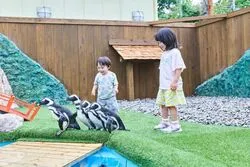「【鬼怒川・川治ほか】人気おでかけスポットTOP10 動物ふれあい・謎解きが上位に」の写真