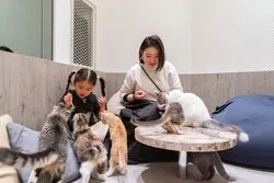 「【高崎・前橋・伊勢崎ほか】人気おでかけスポットTOP10 室内遊びと水遊びが上位」の写真