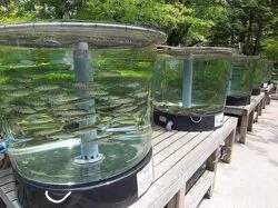 「【関東】水族館の年間パスポート11選｜数回で元が取れてお得に通える」の写真