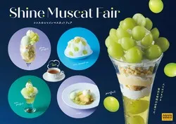 ココス「シャインマスカットフェア」