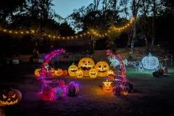 「魔法の森でハロウィン体験！三重・グランドーム伊勢賢島で自然グランプを楽しもう」の写真