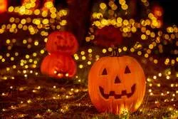 「魔法の森でハロウィン体験！三重・グランドーム伊勢賢島で自然グランプを楽しもう」の写真