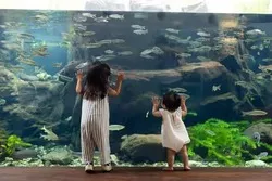 「【関東】水族館の年間パスポート11選｜数回で元が取れてお得に通える」の写真