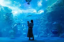 「【関東】水族館の年間パスポート11選｜数回で元が取れてお得に通える」の写真
