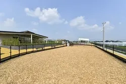 ドッグラン