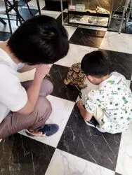「【なんば・ミナミ】人気おでかけスポットTOP10 屋内施設が上位に集中」の写真