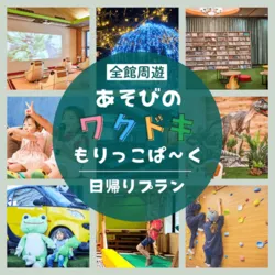 「【天王寺・阿倍野ほか】人気おでかけスポットTOP10 博物館と屋内遊び場が上位」の写真