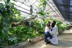「【神戸・明石エリア】人気おでかけスポットTOP10 動物園とアスレチックが上位」の写真