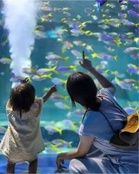 「【神戸・明石エリア】人気おでかけスポットTOP10 動物園とアスレチックが上位」の写真