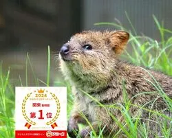 「【飯能・坂戸・東松山ほか】人気おでかけスポットTOP10 動物園やプールが上位に」の写真