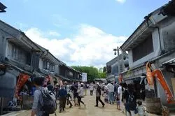 「【成田・印西・酒々井】人気おでかけスポットTOP10 牧場・温浴・室内遊びが上位」の写真