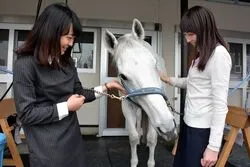 「【府中・調布・狛江】人気おでかけスポットTOP10 味の素スタジアムが首位に」の写真